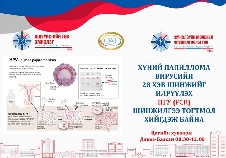 Хүний папиллома вирус (ХПВ) нь умайн хүзүүний хорт хавдрын гол шалтгаануудын нэг бөгөөд 200 гаруй төрөлтэйгөөс 40-өөд төрөл нь хүний биед өвчин үүсгэдэг. Дэлхий даяар жил бүр ойролцоогоор 600,000 гаруй эмэгтэйчүүд хүний папиллома вирусээс үүдэлтэй умайн хүзүүний хорт хавдраар оношлогддог.