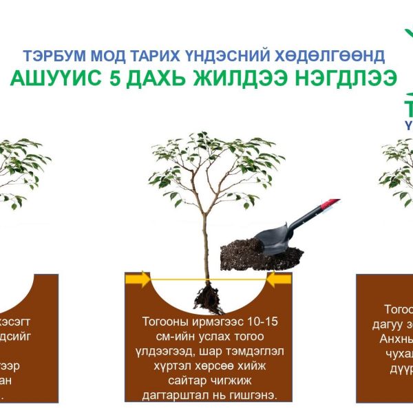АШУҮИС 5 ДАХЬ ЖИЛДЭЭ ТЭРБУМ МОД ТАРИХ ҮНДЭСНИЙ ХӨДӨЛГӨӨНД НЭГДЛЭЭ