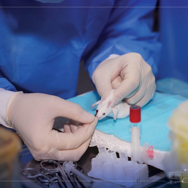  “БИО-АНАГААХ СУДЛААЧИЙН УР ЧАДВАРЫН СОРИЛТ-2025” УРАЛДААНЫГ АМЖИЛТТАЙ ЗОХИОН БАЙГУУЛАГДЛАА.