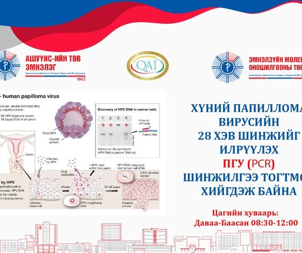 Хүний папиллома вирус (ХПВ) нь умайн хүзүүний хорт хавдрын гол шалтгаануудын нэг бөгөөд 200 гаруй төрөлтэйгөөс 40-өөд төрөл нь хүний биед өвчин үүсгэдэг. Дэлхий даяар жил бүр ойролцоогоор 600,000 гаруй эмэгтэйчүүд хүний папиллома вирусээс үүдэлтэй умайн хүзүүний хорт хавдраар оношлогддог.
