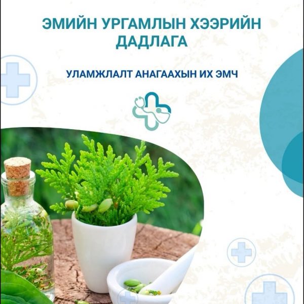 УЛАМЖЛАЛТ АНАГААХЫН ИХ ЭМЧИЙН III ДАМЖААНЫ ОЮУТНУУД ЭМИЙН УРГАМЛЫН ЗУНЫ ХЭЭРИЙН ДАДЛАГАДАА ГАРЛАА